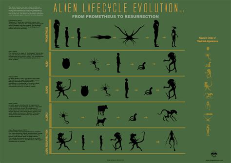 Image result for Prometheus Alien Evolution