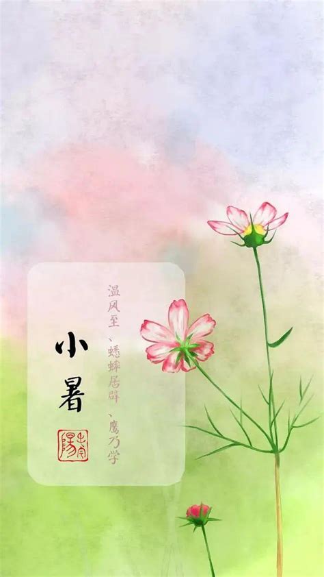 二十四节气-秋分|插画|商业插画|七三巷 - 原创作品 - 站酷 (ZCOOL)