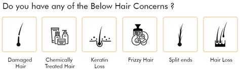 Buy ZELTUS Keratin Shampoo | Soft & Anti-Frizz | Split End & Damage ...