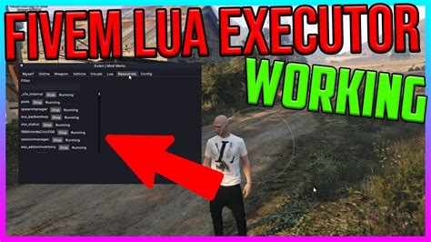 Rezultat imagine pentru Lua Executor Fivem