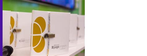 Page Program 的图像结果