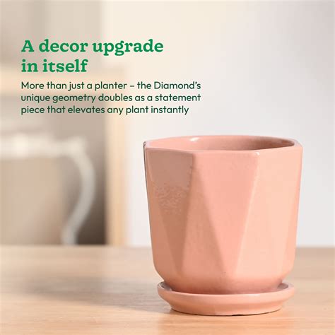 Diamond Ceramic Pot – Ugaoo