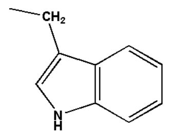 Protein - Functions, Classification, Importance, Sources, Amino Acids ...