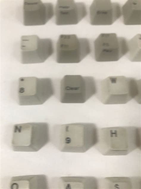 Buy Genuine IBM Model M Keyboard Keycaps Letters Numbers Function Keys ...