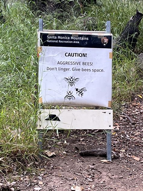 Southern California Hiking/Backpacking