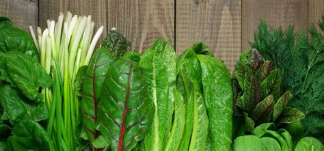 Leafy Vegetables Benefits: अत्यंत गुणकारी आहेत पालेभाज्या! वाचा त्यांचे ...