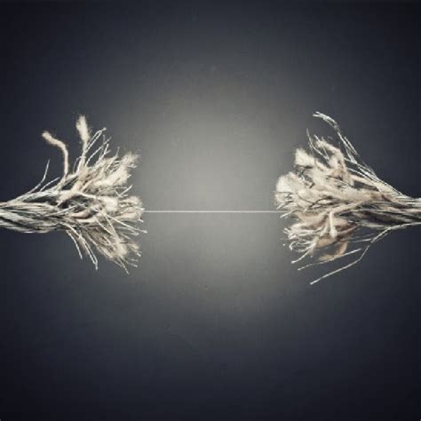 Image result for Matrix Model Management