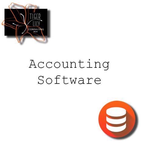 Accounting Application 的图像结果