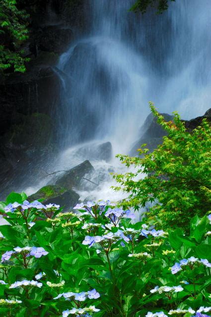 富士山 的图像结果