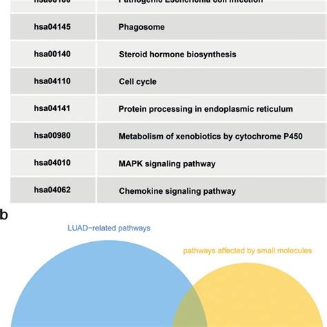Connectivity Map 的图像结果