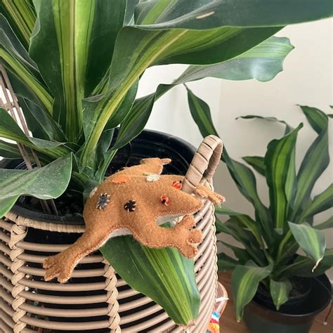 Image result for Felt Chicken Pattern-Free