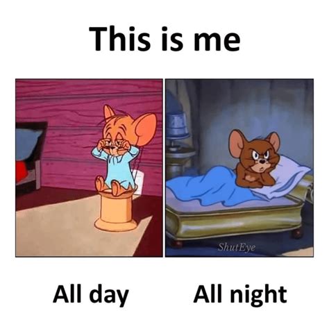 50 of The Funniest Can't Sleep Memes Ever - ShutEye