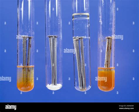 Image result for Rust Experiment