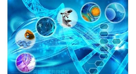 Научные основы биотехнологических процессов - InAshgabat