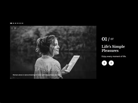 Elementor Gallery Slider 的图像结果