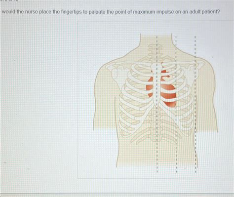 Solved would the nurse place the fingertips to palpate the | Chegg.com