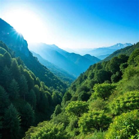 Image result for German Grammar Lessons