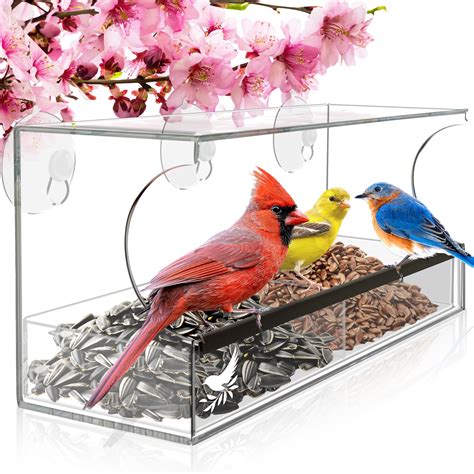 Window Bird Feeders with Strong Suction Cups, Clear Window Bird Feeder ...