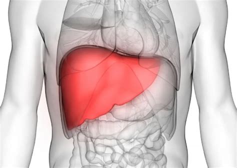 Best liver specialist in lucknow (Call - 9455120500), Best liver ...