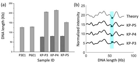 A Parallelized Nanofluidic Device for High-Throughput Optical DNA ...
