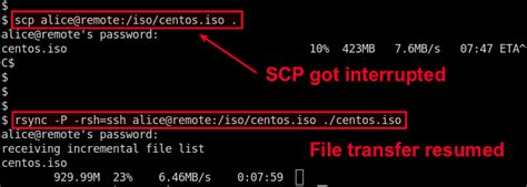 SCP File Transfer 的图像结果