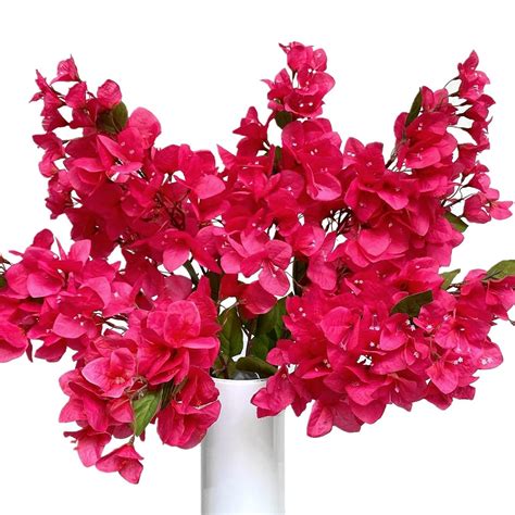 Buy Magrowie Pack of 8 Silk Bougainvillea Artificial Flowers Stems Full ...