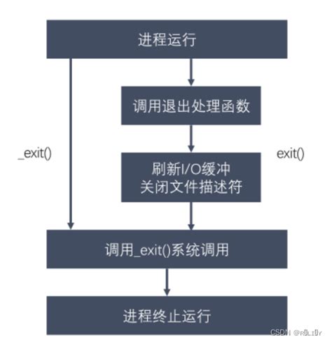 Exit System Call 的图像结果