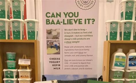 10 Ways How Sheep Milk Enhances Health and Wellness