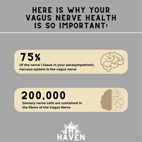 Vagus Nerve Disorders