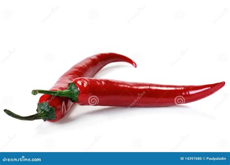 Chilli cayenne pepper stock photo. Image of cayenne, ingredient - 14397680