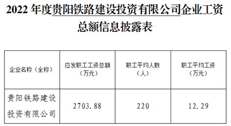 2022年度贵阳铁路建设投资有限公司企业工资总额信息披露表