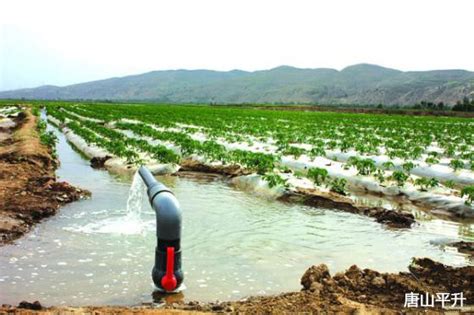 农业灌溉用水效率远程监测系统-阿里巴巴