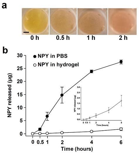 Topical Neuropeptide Y for Ischemic Skin Wounds