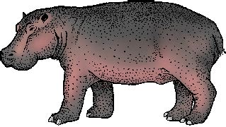 HIPPOPOTAMUS Definition & Meaning - Merriam-Webster