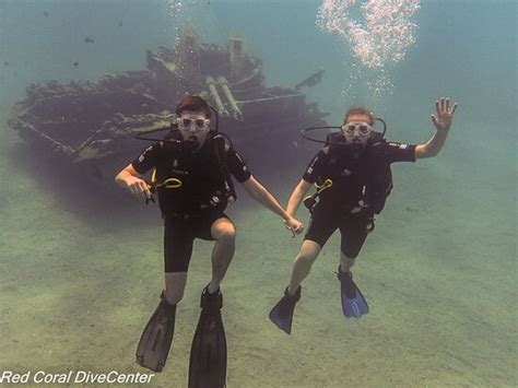 Red Coral Dive Center - Aqaba | Tripadvisor