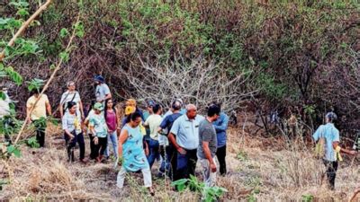 Traffic Surveys: Balbharati-paud Phata Road Needs New Surveys: Expert ...