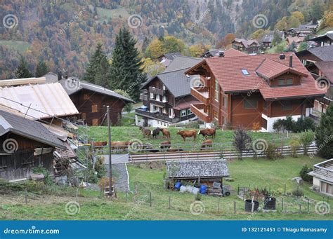 Small Farm Village in Switzerland Stock Image - Image of swiss, village ...