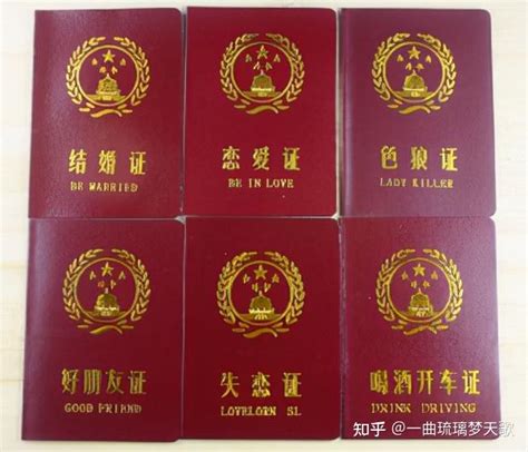 中国推出新版护照 温哥华中领馆谈换补护照事宜_新闻中心_新浪网