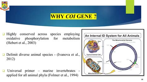 Image result for Insect DNA Barcoding