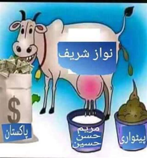 Image result for How Do I Translate Python Out of Arabic Meme