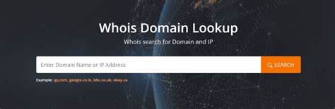 Do I Need Domain Name Privacy Protection + WHOIS Privacy?