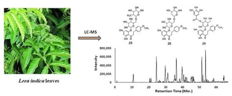 Identification of Phytoconstituents in Leea indica (Burm. F.) Merr ...