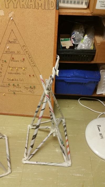 Image result for Forces and Structures Grade 5