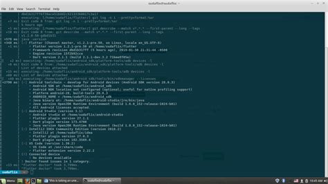 Android Build Version 的图像结果