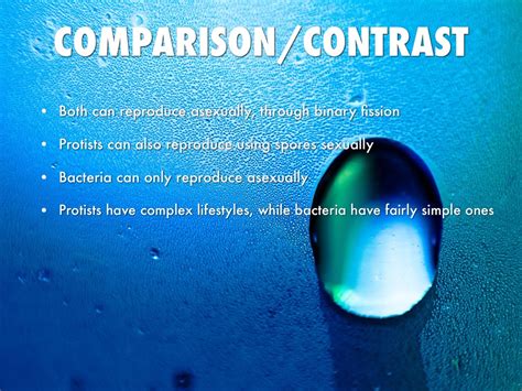 Image result for How Do Protists Reproduce