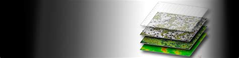 Green world Soft Tech Pvt Ltd