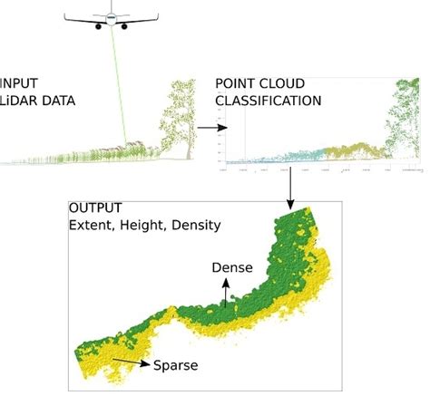 Evaluation of Green-LiDAR Data for Mapping Extent, Density and Height ...