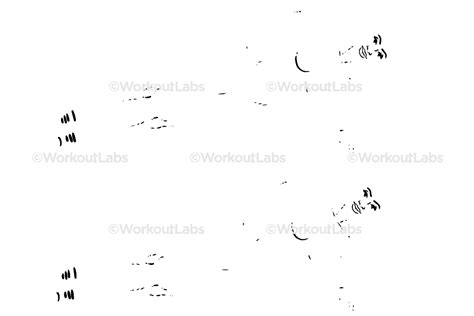 Side Plank Dumbbell Hip Raises – WorkoutLabs Exercise Guide