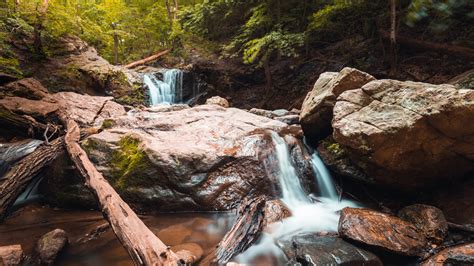 Assateague Island National Seashore Archives - Maryland Matters