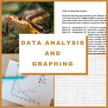 Image result for Data Visualization Snakes